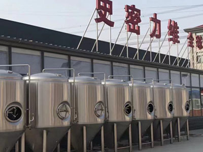 杭锦精酿啤酒设备厂—如何判断精酿啤酒设备的密封件需要更换？